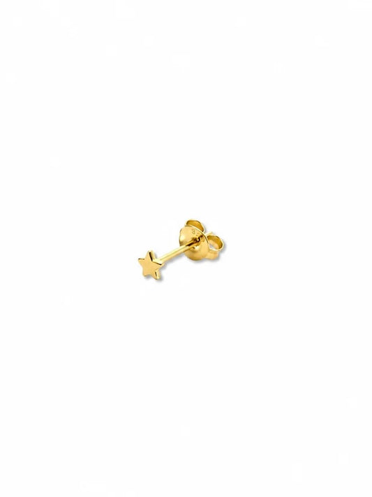 Micro Earring: Star