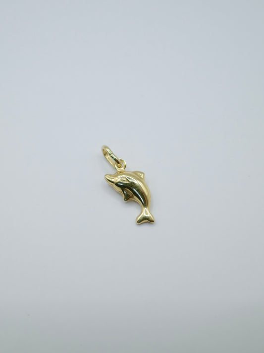 Charm: Dolphin